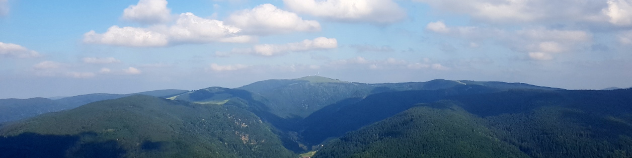 random landscape